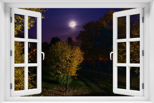 Fototapeta Naklejka Na Ścianę Okno 3D - Autumn, evening and the moon