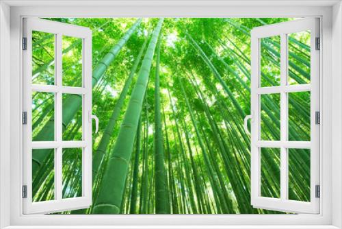Fototapeta Naklejka Na Ścianę Okno 3D - 日本の風景・竹林・京都
