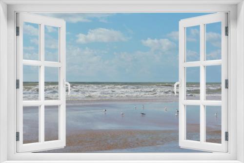 Fototapeta Naklejka Na Ścianę Okno 3D - Seevögel am Strand
