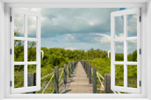 Fototapeta Naklejka Na Ścianę Okno 3D - Wooden Bridge in mangrove forest.