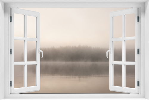 Fototapeta Naklejka Na Ścianę Okno 3D - Forest at lakeside at foggy morning