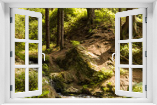 Fototapeta Naklejka Na Ścianę Okno 3D - Forest stream in summer
