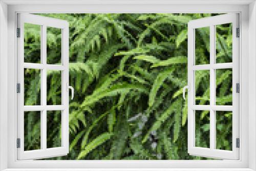 Fototapeta Naklejka Na Ścianę Okno 3D - Japanese Garden