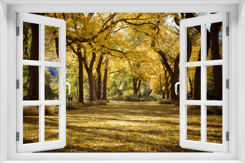 Fototapeta Naklejka Na Ścianę Okno 3D - Central Park in New York City on autumn Day