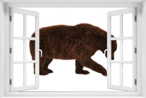 Fototapeta Naklejka Na Ścianę Okno 3D - Grizzly Bear on White