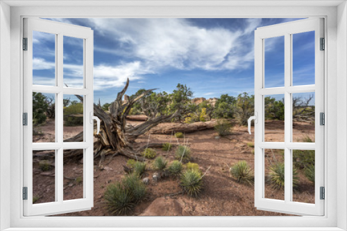 Fototapeta Naklejka Na Ścianę Okno 3D - Canyonlands National Park