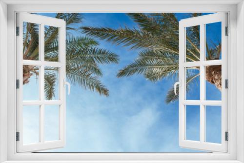 Fototapeta Naklejka Na Ścianę Okno 3D - Two palm treetops against a sunny sky