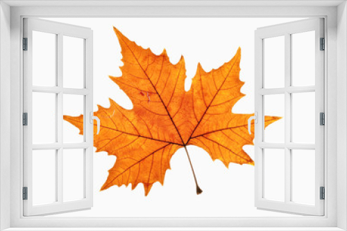 Fototapeta Naklejka Na Ścianę Okno 3D - Closeup of Brown Autumn Leaf - Isolated on White