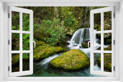 Fototapeta Naklejka Na Ścianę Okno 3D - waterfall in beech forest