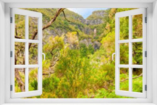 Fototapeta Naklejka Na Ścianę Okno 3D - Madeira - natural landscape - green nature