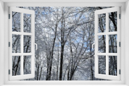 Fototapeta Naklejka Na Ścianę Okno 3D - Snowy Winter Scene