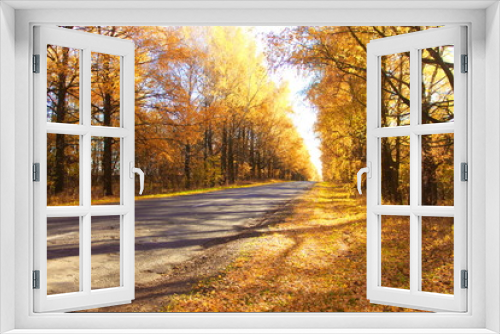 Fototapeta Naklejka Na Ścianę Okno 3D - Stunning autumn road
