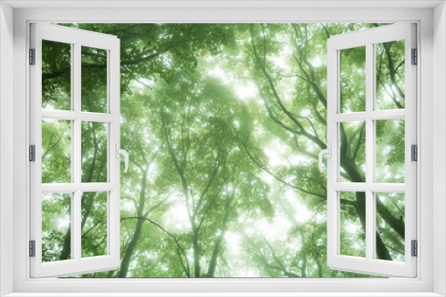 Fototapeta Naklejka Na Ścianę Okno 3D - Baumkronen als grünes Feuer