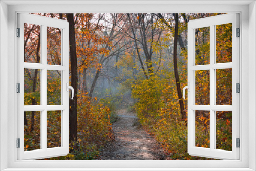 Fototapeta Naklejka Na Ścianę Okno 3D - Trail in yellow autumn deciduous forest