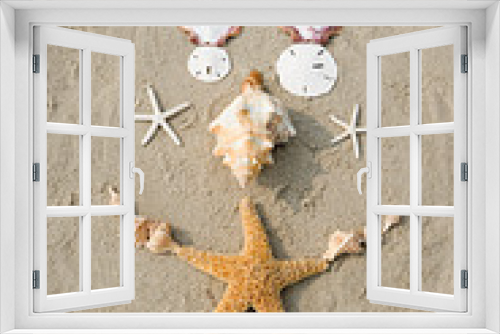 Fototapeta Naklejka Na Ścianę Okno 3D - Starfish and shells