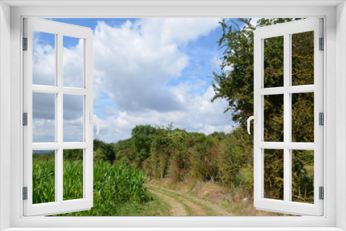 Fototapeta Naklejka Na Ścianę Okno 3D - Walking trail through Belgian countryside