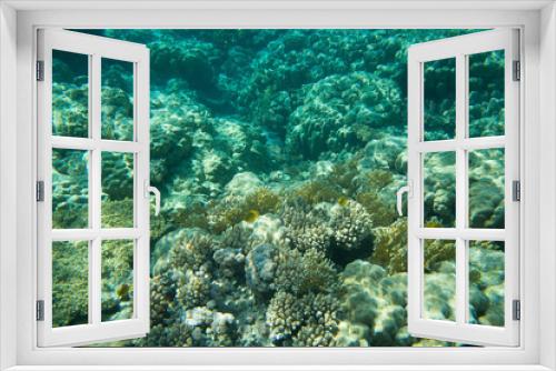 Fototapeta Naklejka Na Ścianę Okno 3D - underwater