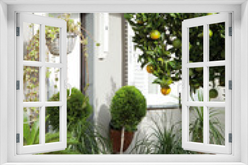 Fototapeta Naklejka Na Ścianę Okno 3D - Casa provenzale