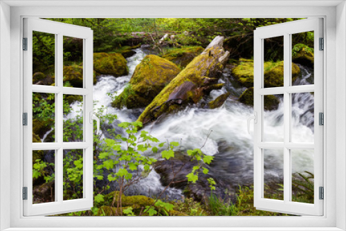 Fototapeta Naklejka Na Ścianę Okno 3D - natural spring water