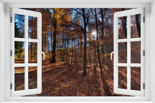 Fototapeta Naklejka Na Ścianę Okno 3D - Herbstliche Wälder