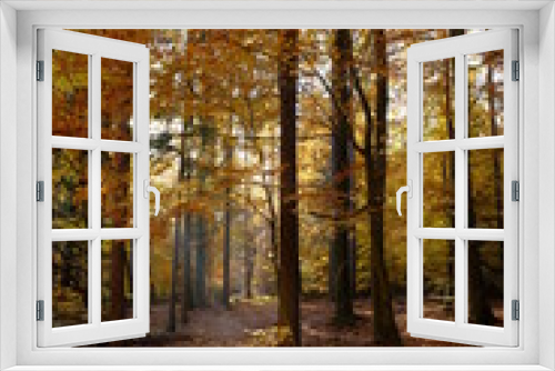 Fototapeta Naklejka Na Ścianę Okno 3D - Nördlicher Steigerwald im Herbst, Unterfranken, Bayern, Deutsch