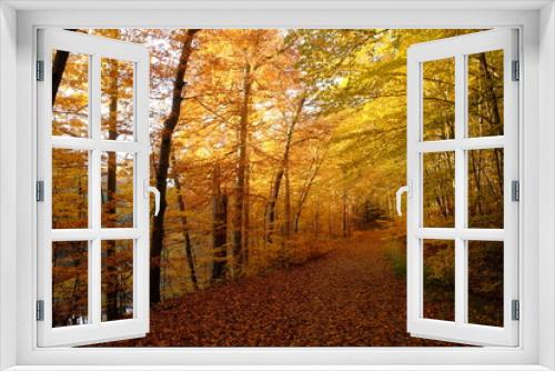 Fototapeta Naklejka Na Ścianę Okno 3D - Nördlicher Steigerwald im Herbst, Unterfranken, Bayern, Deutsch