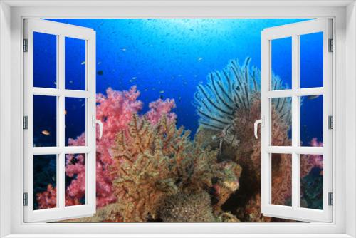 Fototapeta Naklejka Na Ścianę Okno 3D - Tropical fish sea ocean coral reef underwater