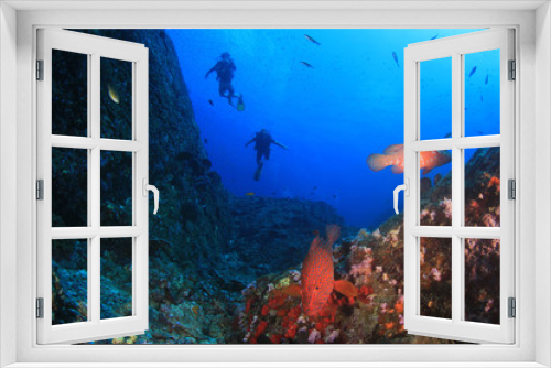 Fototapeta Naklejka Na Ścianę Okno 3D - Scuba diving in ocean
