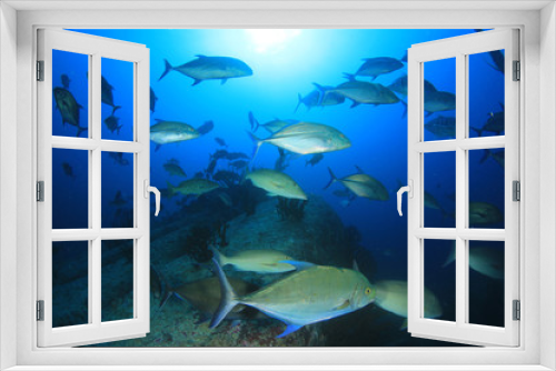 Fototapeta Naklejka Na Ścianę Okno 3D - Underwater coral reef and tropical fish