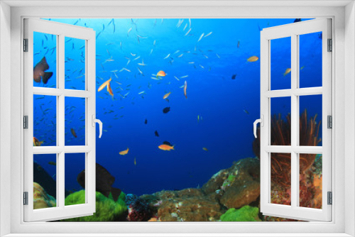 Fototapeta Naklejka Na Ścianę Okno 3D - Underwater coral reef and tropical fish