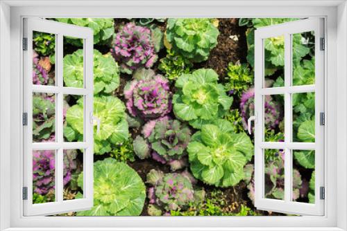 Fototapeta Naklejka Na Ścianę Okno 3D - Green garden