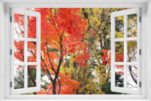 Fototapeta Naklejka Na Ścianę Okno 3D - Red autumn leaves