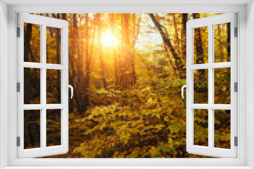 Fototapeta Naklejka Na Ścianę Okno 3D - Collection of autumn forest. Autumn landscape