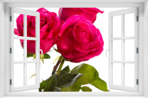 Fototapeta Naklejka Na Ścianę Okno 3D - Three pink roses