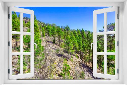 Fototapeta Naklejka Na Ścianę Okno 3D - Fir Trees on Mountain Landscape