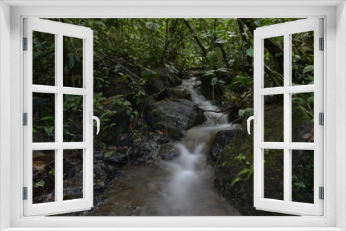 Fototapeta Naklejka Na Ścianę Okno 3D - River through the Forest in Costa Rica