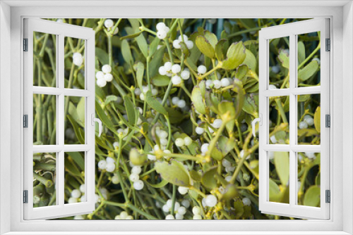 Fototapeta Naklejka Na Ścianę Okno 3D - Mistletoe Background