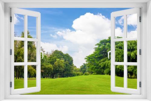 Fototapeta Naklejka Na Ścianę Okno 3D - Trees and grass field with blue sky