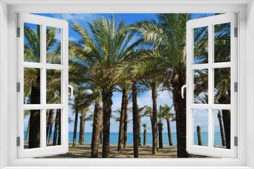 Fototapeta Naklejka Na Ścianę Okno 3D - Playa, Torremolinos, palmeras, Málaga, Andalucía