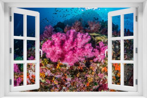 Fototapeta Naklejka Na Ścianę Okno 3D - Coral colorful