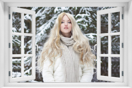 beautiful young Woman in Fur Coat and scarf