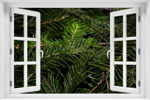 Fototapeta Naklejka Na Ścianę Okno 3D - Coniferous background of green spruce
