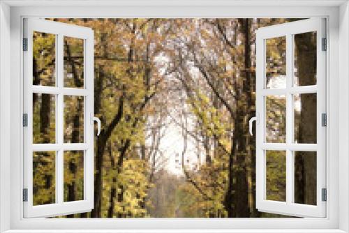 Fototapeta Naklejka Na Ścianę Okno 3D - autumnal landscape