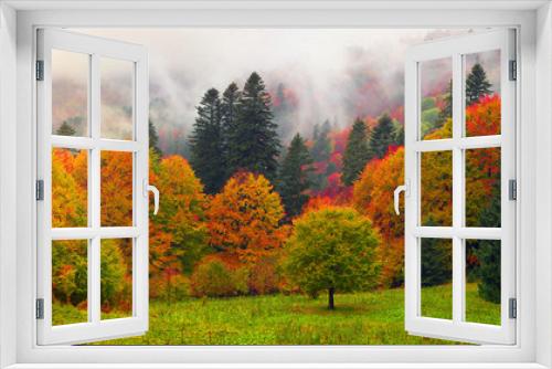 Fototapeta Naklejka Na Ścianę Okno 3D - Misty autumn Transcarpathia