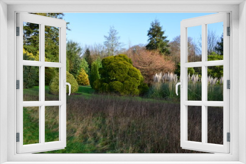 Fototapeta Naklejka Na Ścianę Okno 3D - An English country garden in winter time.
