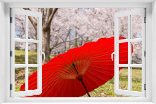 Fototapeta Naklejka Na Ścianę Okno 3D - 桜と赤い和傘