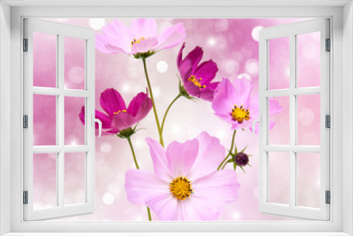 Fototapeta Naklejka Na Ścianę Okno 3D - Cosmos flowers
