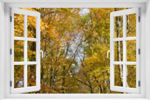 Fototapeta Naklejka Na Ścianę Okno 3D - Beautiful autumn trail with bright orange leaves and trees