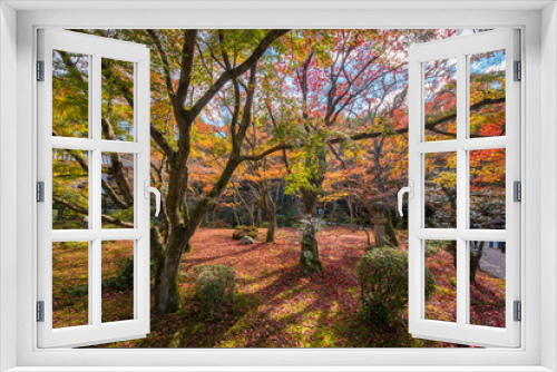 Fototapeta Naklejka Na Ścianę Okno 3D - Autumn foliage at Enkoji Temple