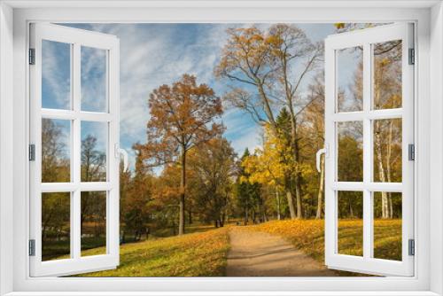 Fototapeta Naklejka Na Ścianę Okno 3D - Autumn landscape with golden trees and falling leaves